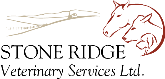 Stone Ridge Veterinary Services